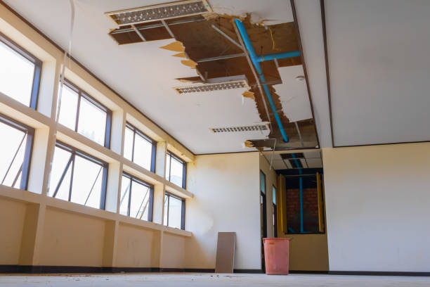 Best Residential water damage restoration  in Mcarthur, OH