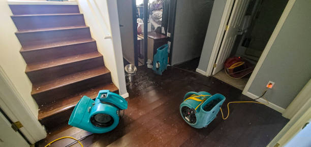 Best Commercial water damage restoration  in Mcarthur, OH