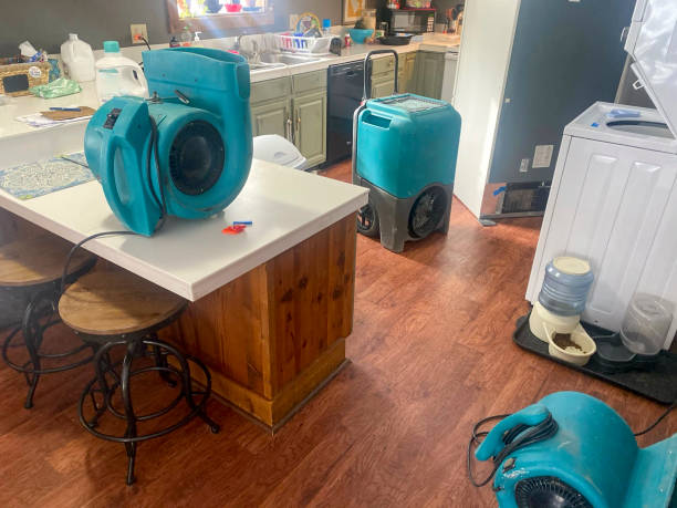 Best Basement water damage restoration  in Mcarthur, OH