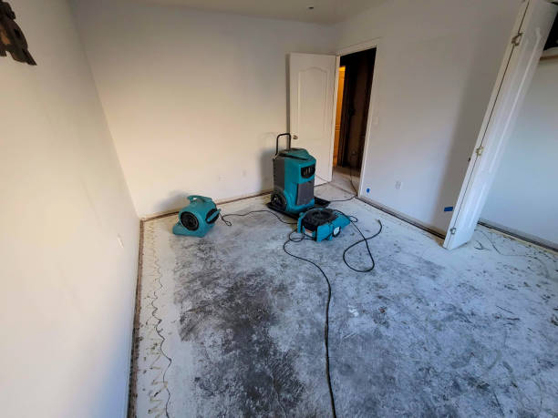 Best Flood damage cleanup  in Mcarthur, OH