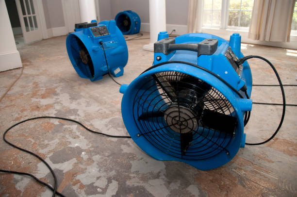 Best Water damage restoration specialists  in Mcarthur, OH