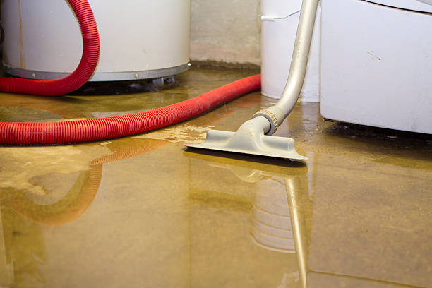 Best Water damage restoration experts  in Mcarthur, OH