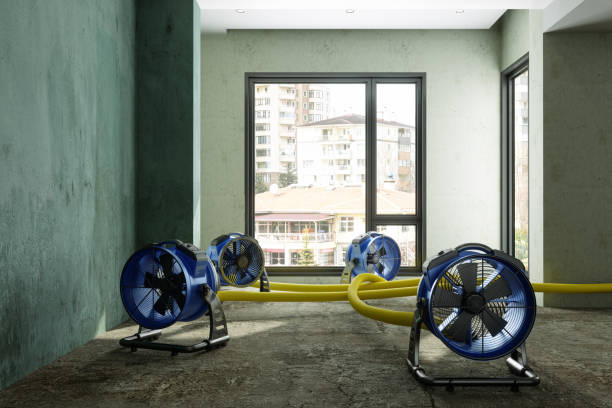 Best Water damage restoration near me  in Mcarthur, OH